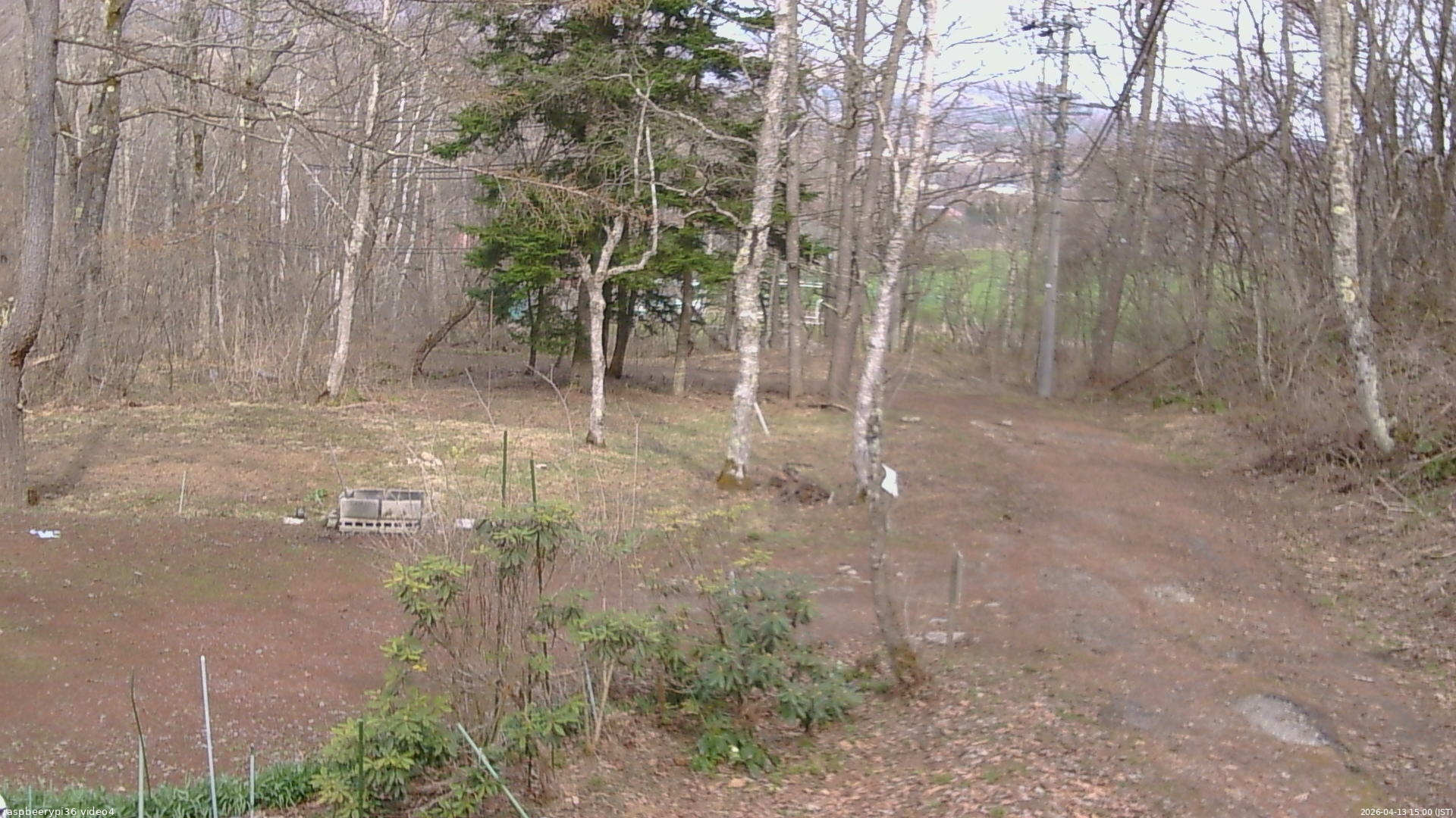 長野県菅平高原 ゆたか山荘 坂上 2026/04/13 15:00