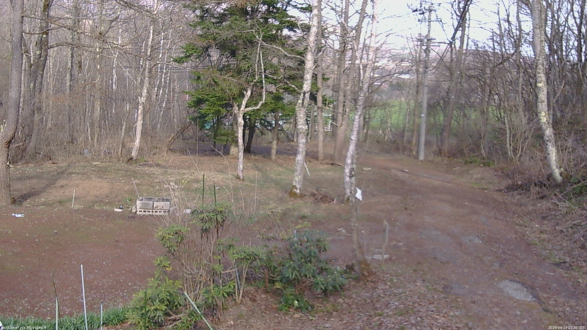 長野県菅平高原 ゆたか山荘 坂上 2026/04/13 15:30