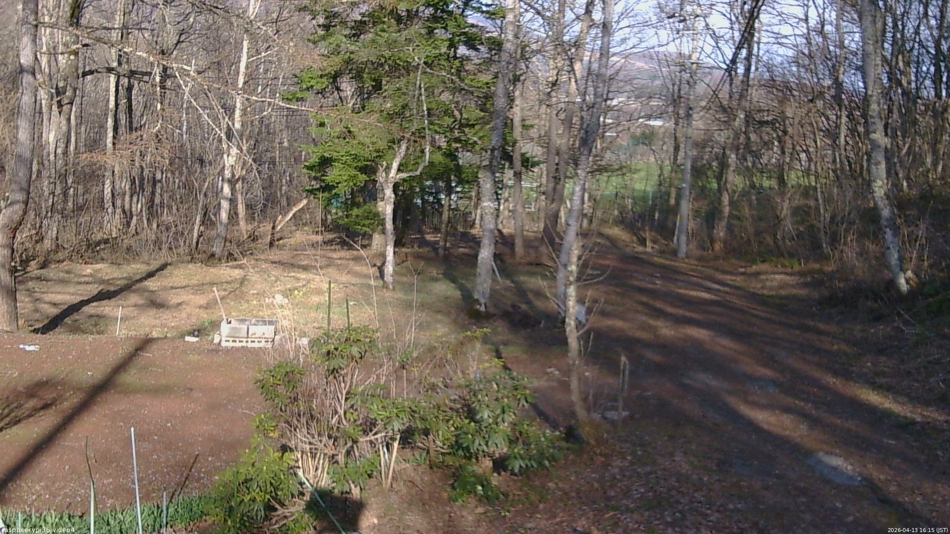 長野県菅平高原 ゆたか山荘 坂上 2026/04/13 16:15