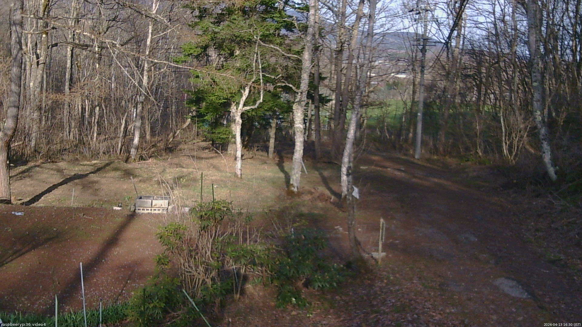 長野県菅平高原 ゆたか山荘 坂上 2026/04/13 16:30