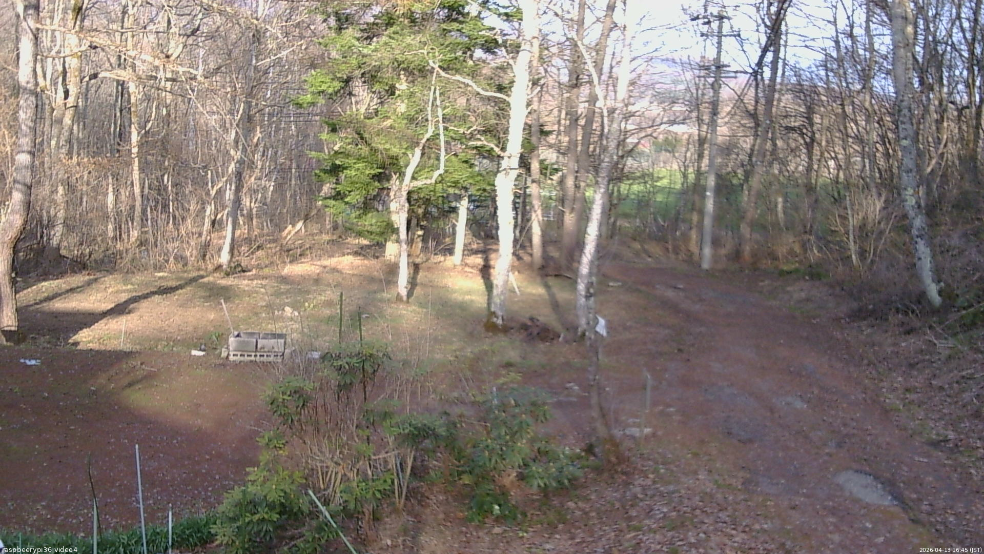 長野県菅平高原 ゆたか山荘 坂上 2026/04/13 16:45