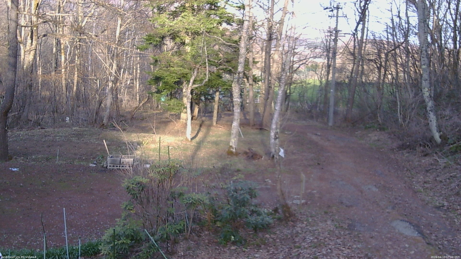 長野県菅平高原 ゆたか山荘 坂上 2026/04/13 17:00