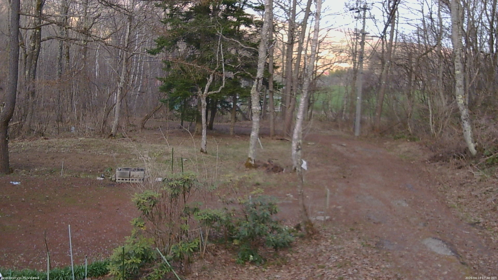 長野県菅平高原 ゆたか山荘 坂上 2026/04/13 17:30