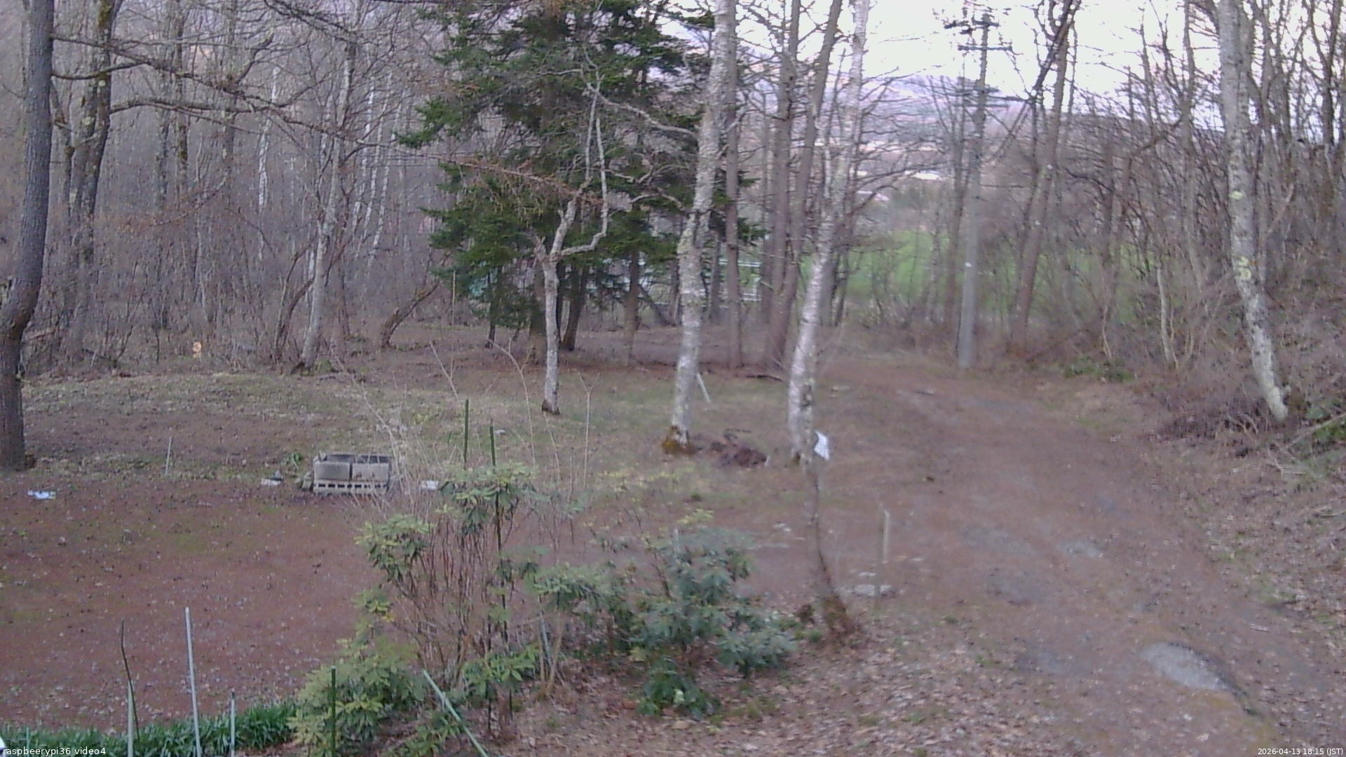 長野県菅平高原 ゆたか山荘 坂上 2026/04/13 18:15