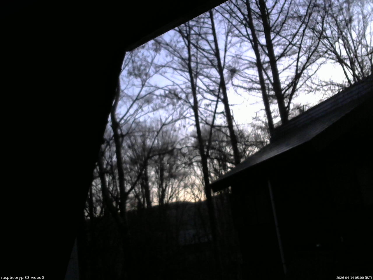 長野県菅平高原 ゆたか山荘 北側 2026/04/14 05:00