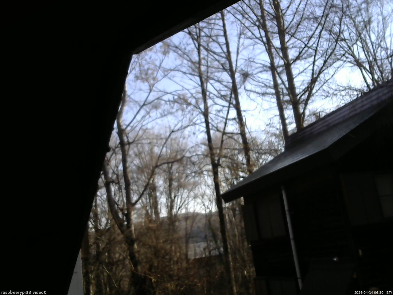 長野県菅平高原 ゆたか山荘 北側 2026/04/14 06:30