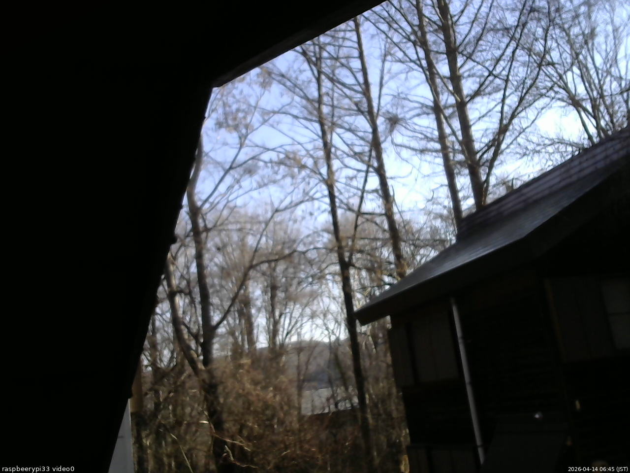 長野県菅平高原 ゆたか山荘 北側 2026/04/14 06:45