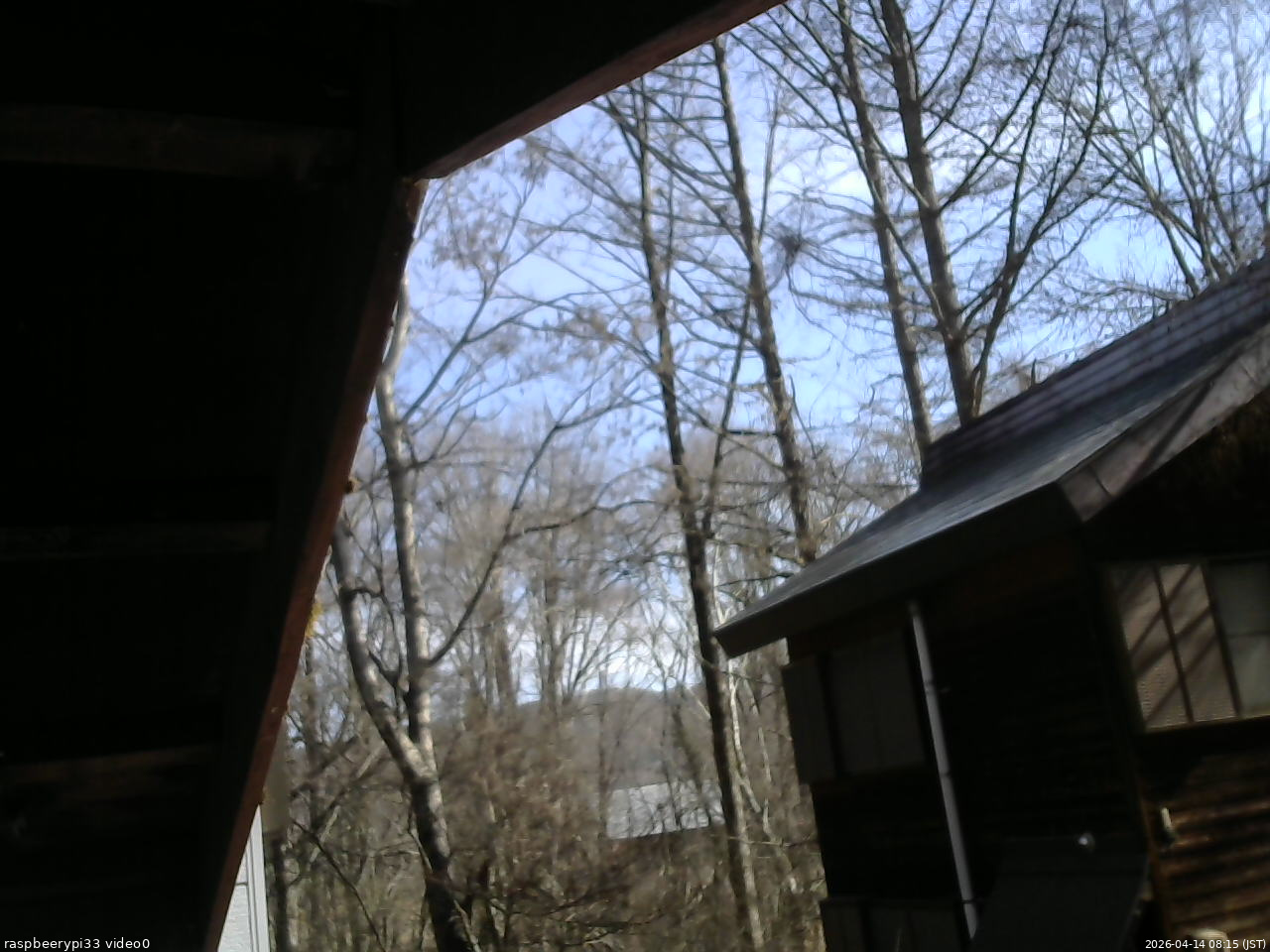 長野県菅平高原 ゆたか山荘 北側 2026/04/14 08:15