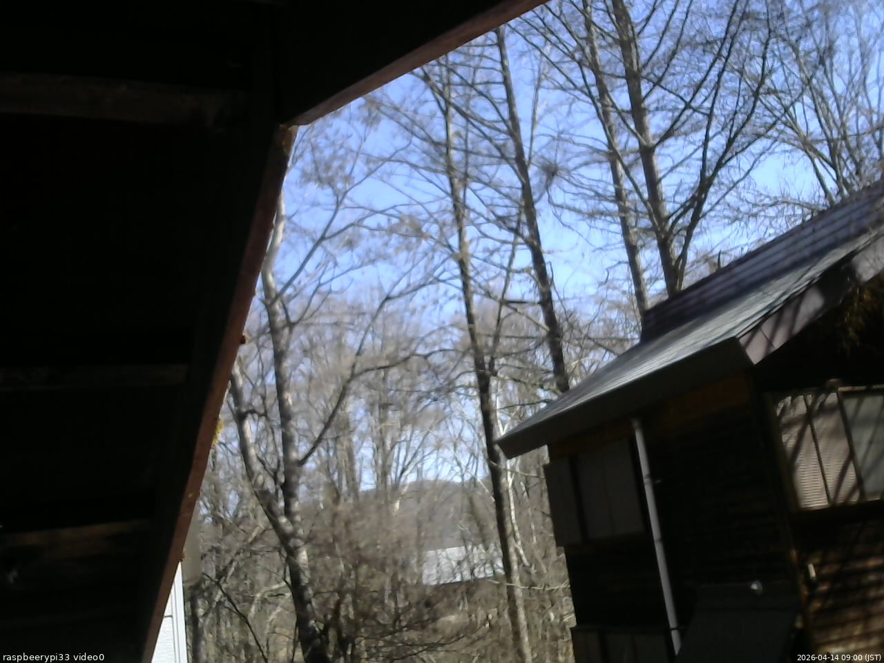 長野県菅平高原 ゆたか山荘 北側 2026/04/14 09:00