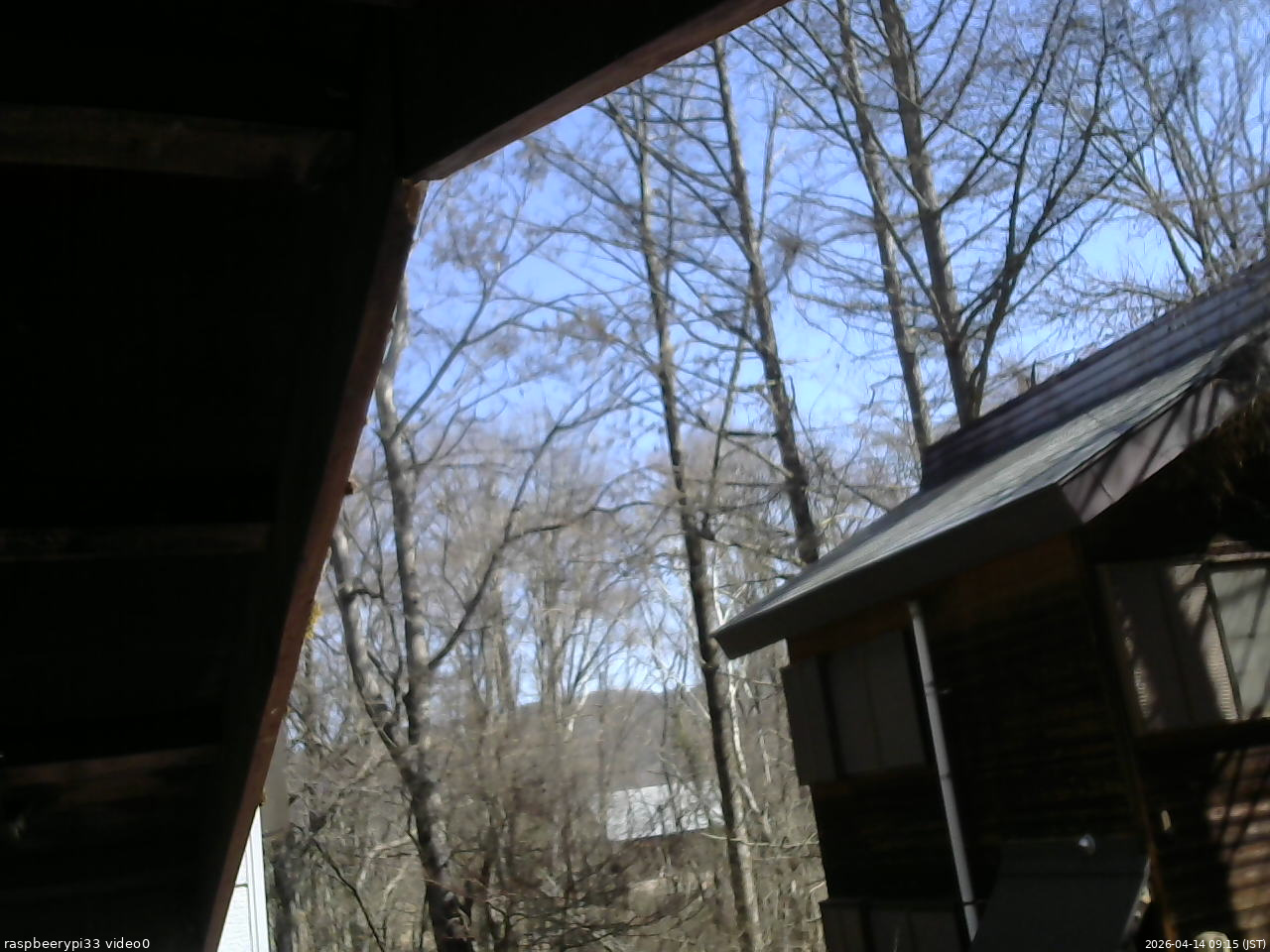 長野県菅平高原 ゆたか山荘 北側 2026/04/14 09:15