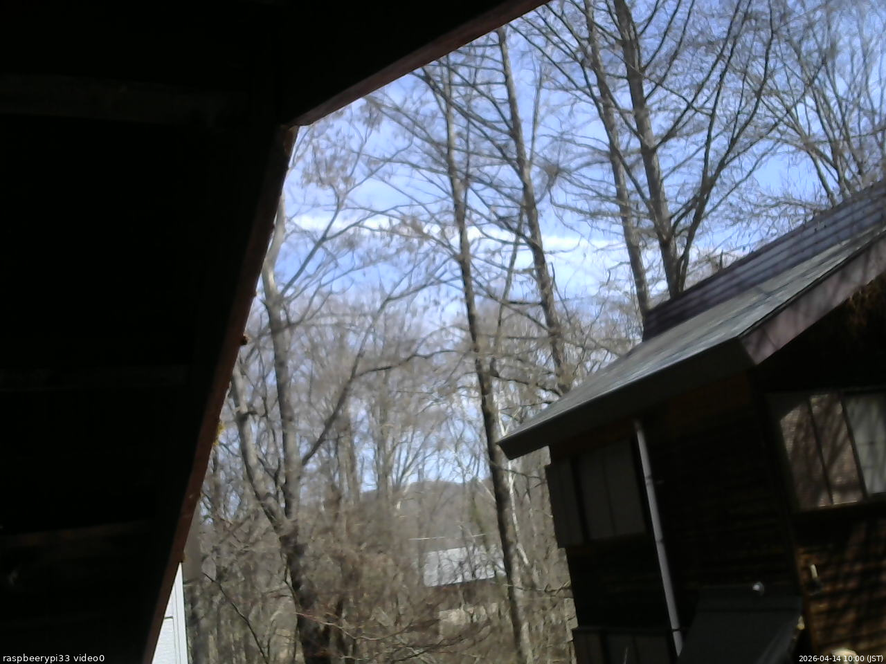 長野県菅平高原 ゆたか山荘 北側 2026/04/14 10:00