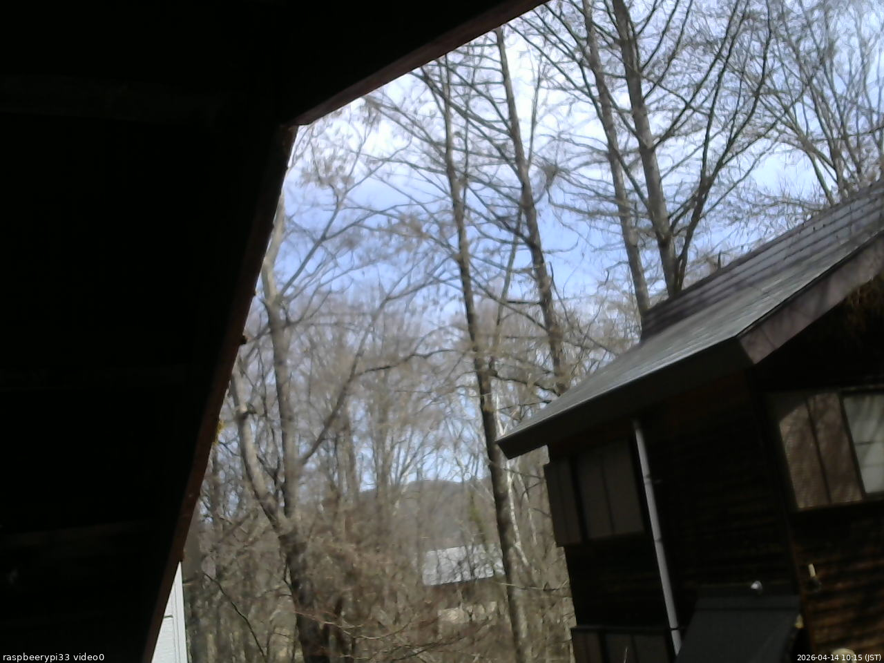 長野県菅平高原 ゆたか山荘 北側 2026/04/14 10:15