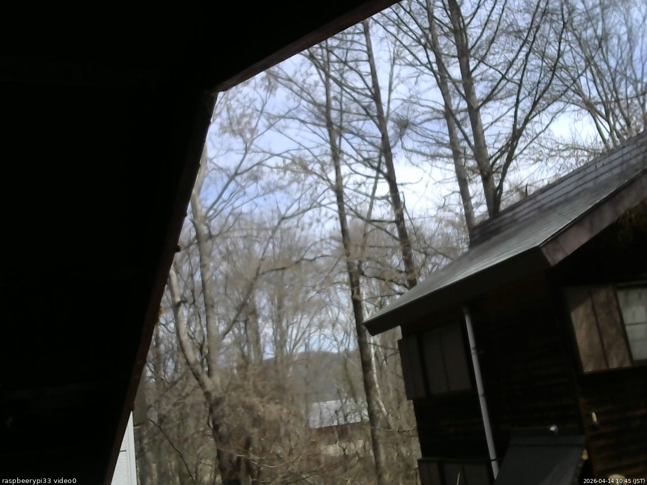 長野県菅平高原 ゆたか山荘 北側 2026/04/14 10:45