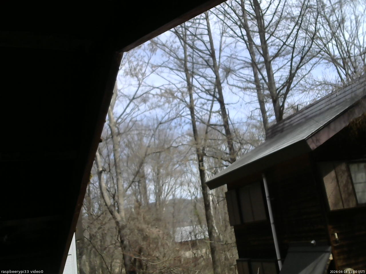 長野県菅平高原 ゆたか山荘 北側 2026/04/14 11:00