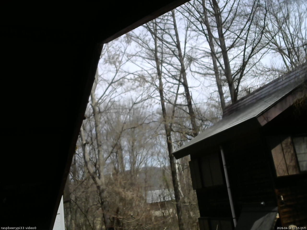 長野県菅平高原 ゆたか山荘 北側 2026/04/14 11:15