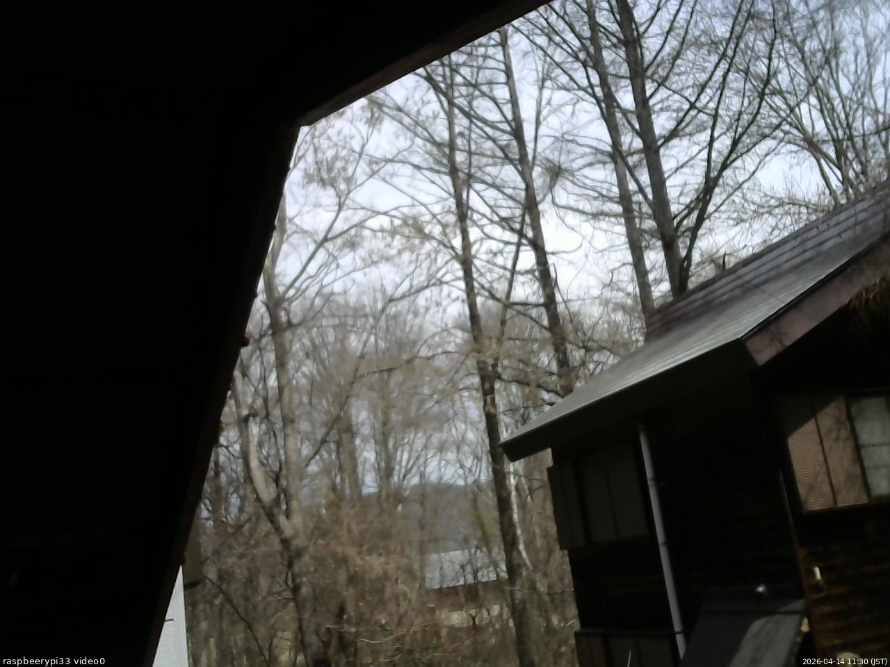 長野県菅平高原 ゆたか山荘 北側 2026/04/14 11:30