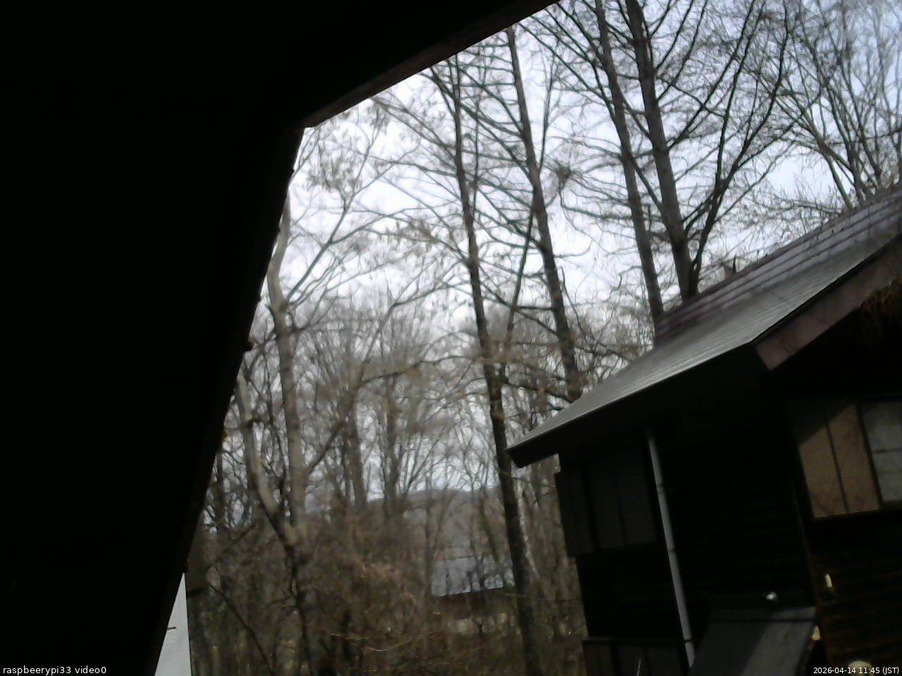 長野県菅平高原 ゆたか山荘 北側 2026/04/14 11:45