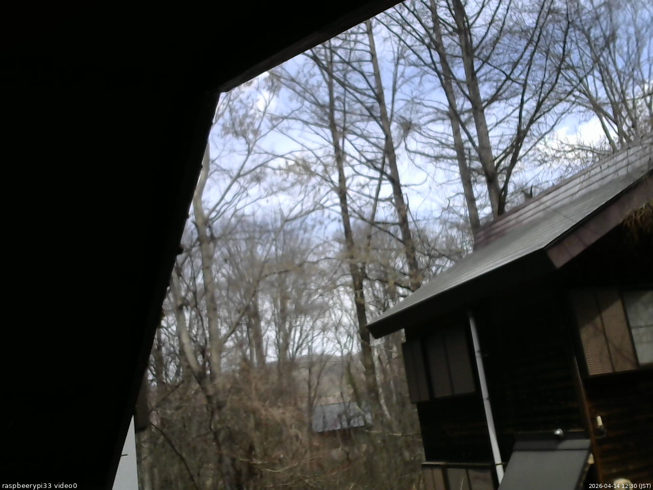 長野県菅平高原 ゆたか山荘 北側 2026/04/14 12:30