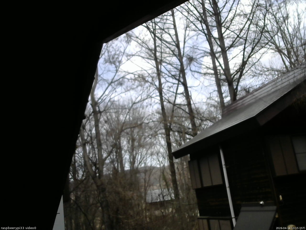 長野県菅平高原 ゆたか山荘 北側 2026/04/14 13:15