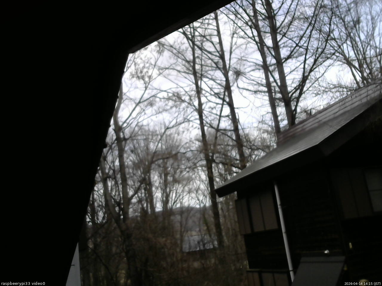 長野県菅平高原 ゆたか山荘 北側 2026/04/14 14:15