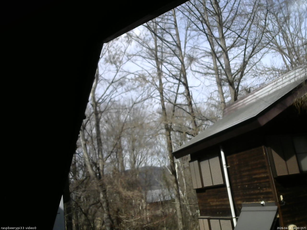 長野県菅平高原 ゆたか山荘 北側 2026/04/14 14:30