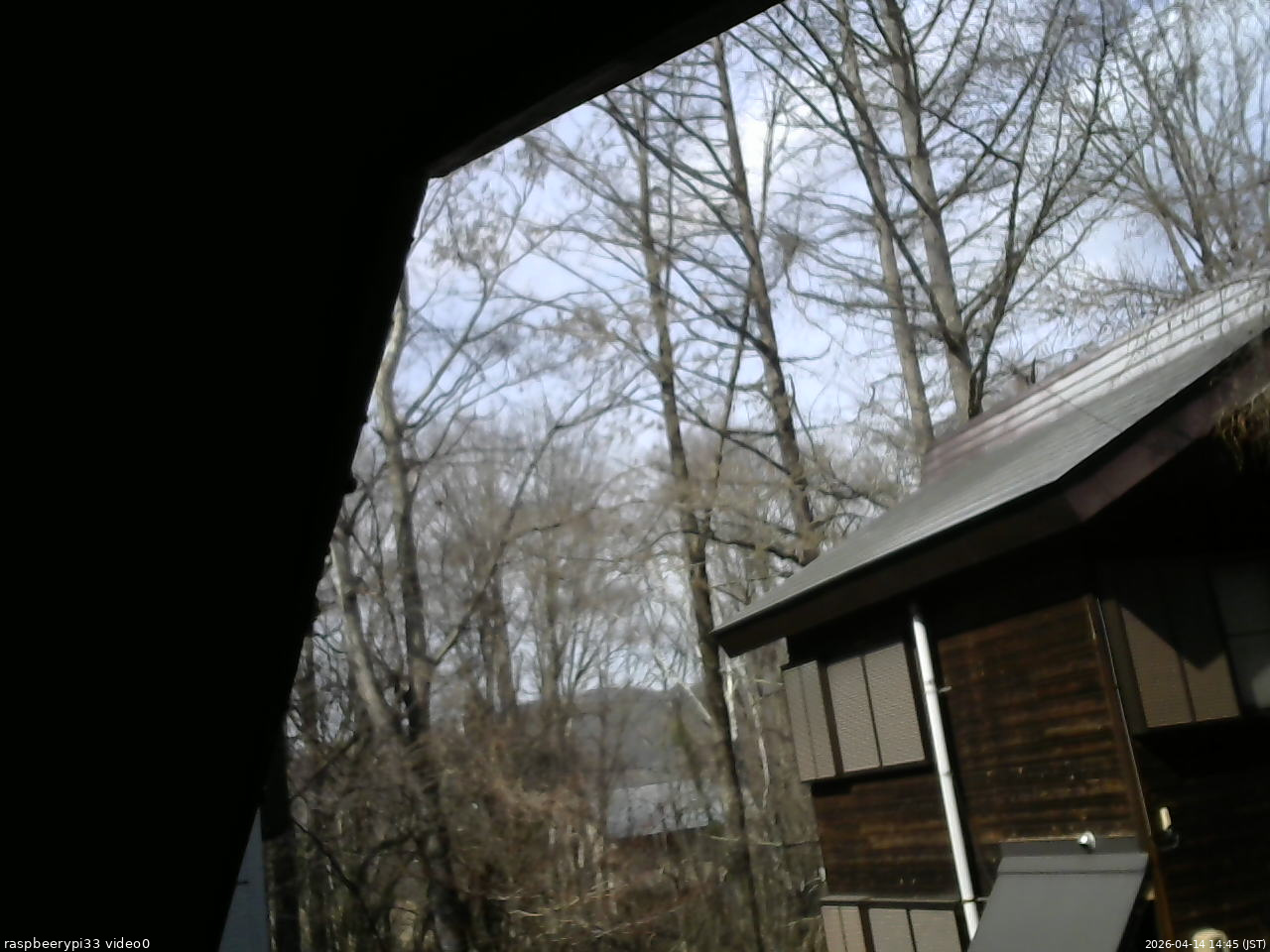 長野県菅平高原 ゆたか山荘 北側 2026/04/14 14:45