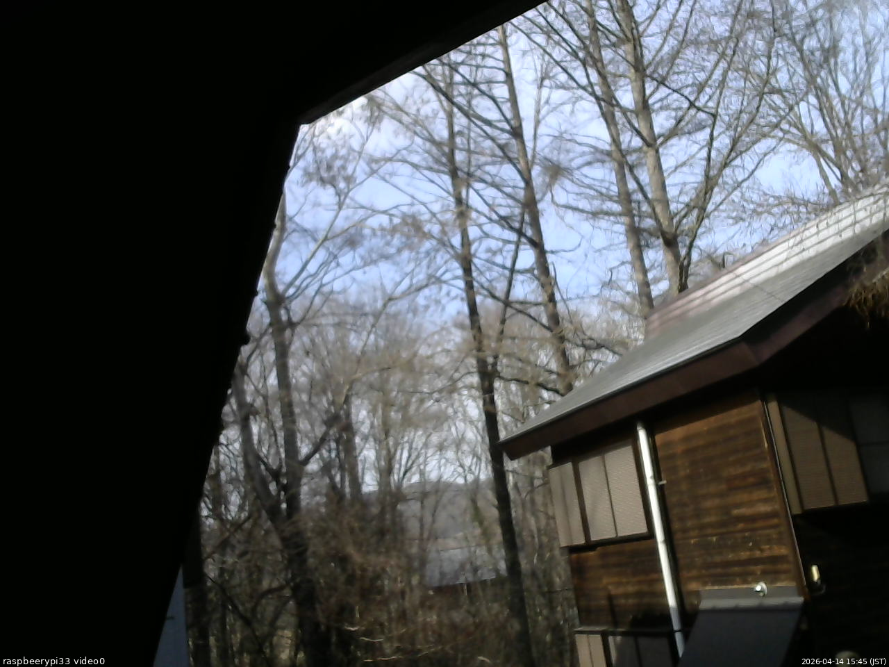 長野県菅平高原 ゆたか山荘 北側 2026/04/14 15:45