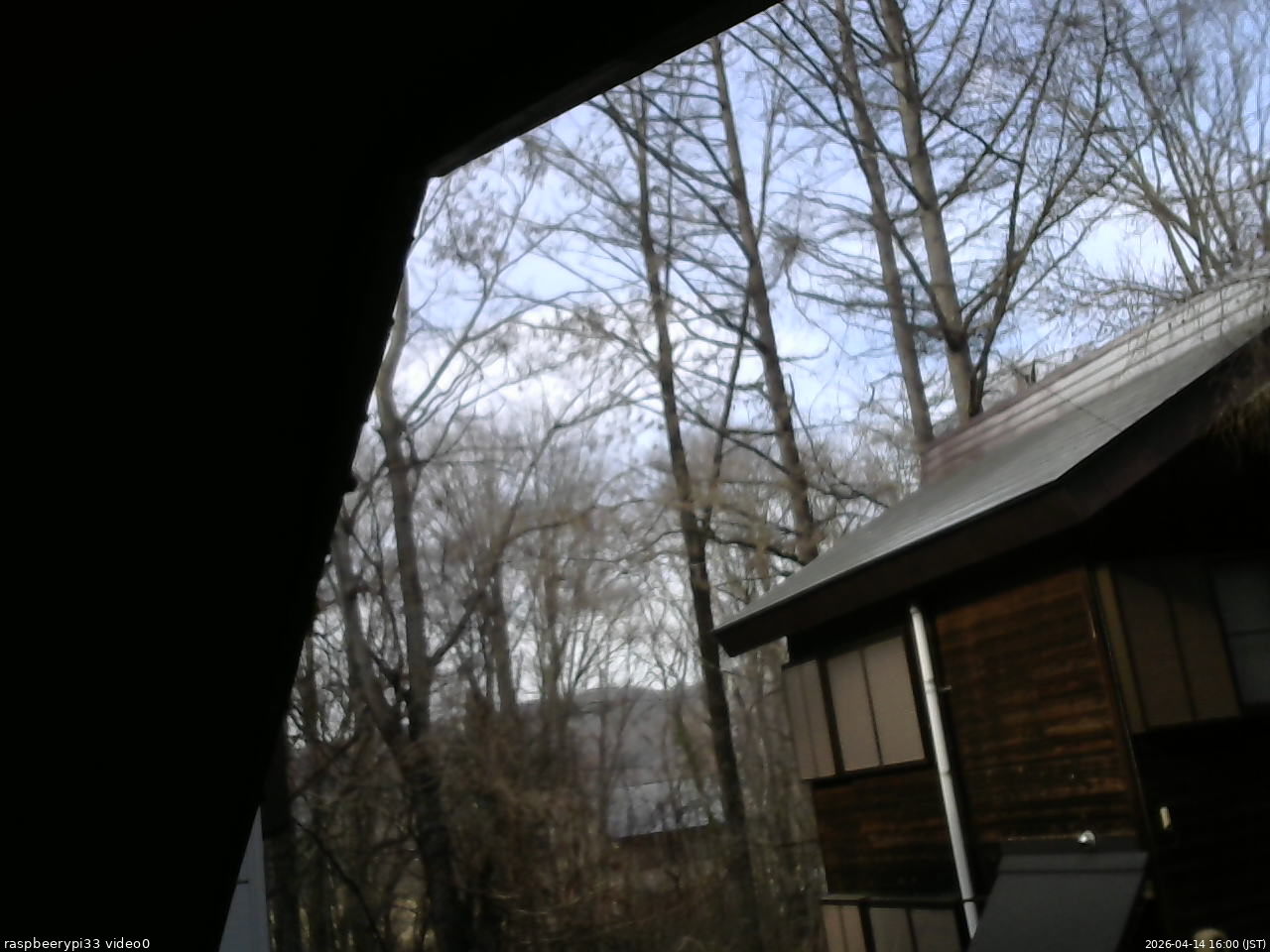 長野県菅平高原 ゆたか山荘 北側 2026/04/14 16:00