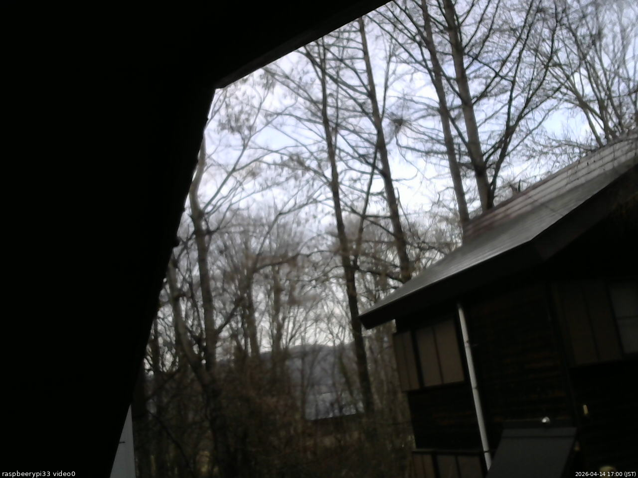 長野県菅平高原 ゆたか山荘 北側 2026/04/14 17:00