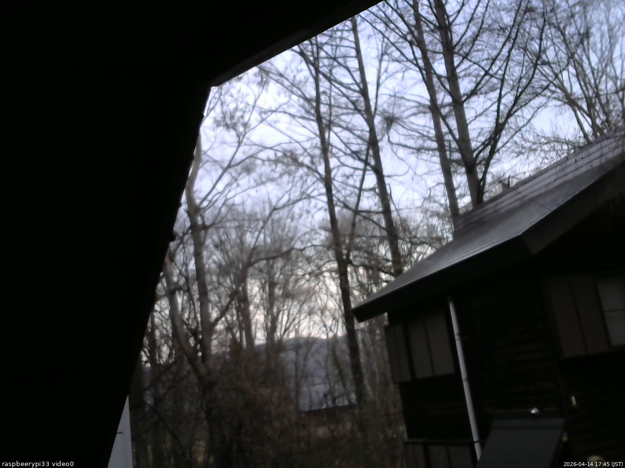 長野県菅平高原 ゆたか山荘 北側 2026/04/14 17:45