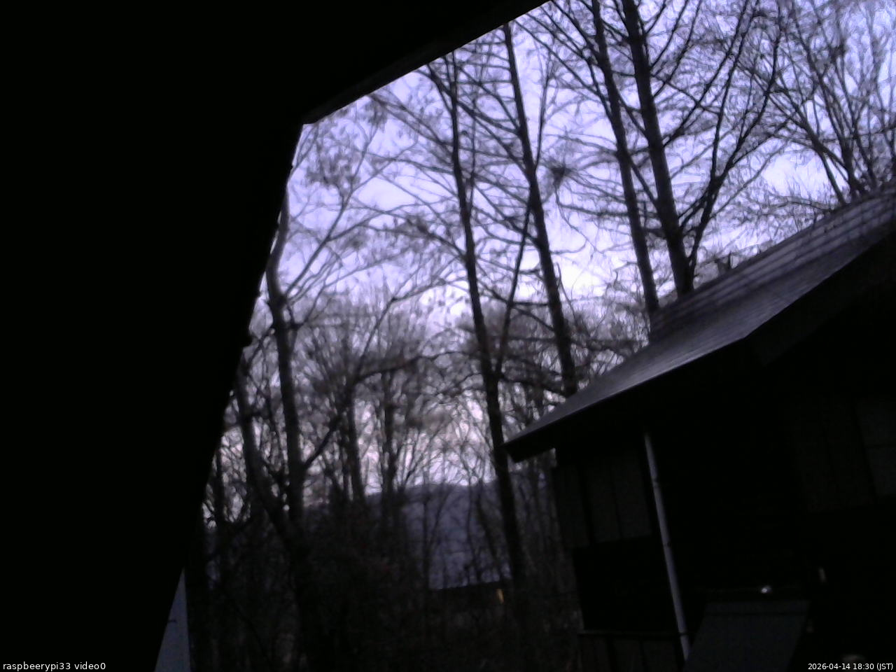 長野県菅平高原 ゆたか山荘 北側 2026/04/14 18:30