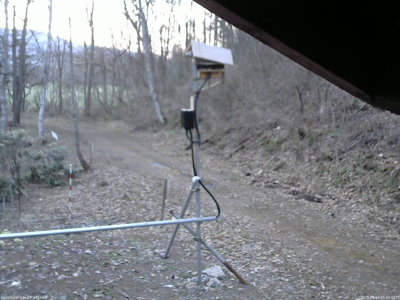 長野県菅平高原 ゆたか山荘 南側 2026/04/14 05:15