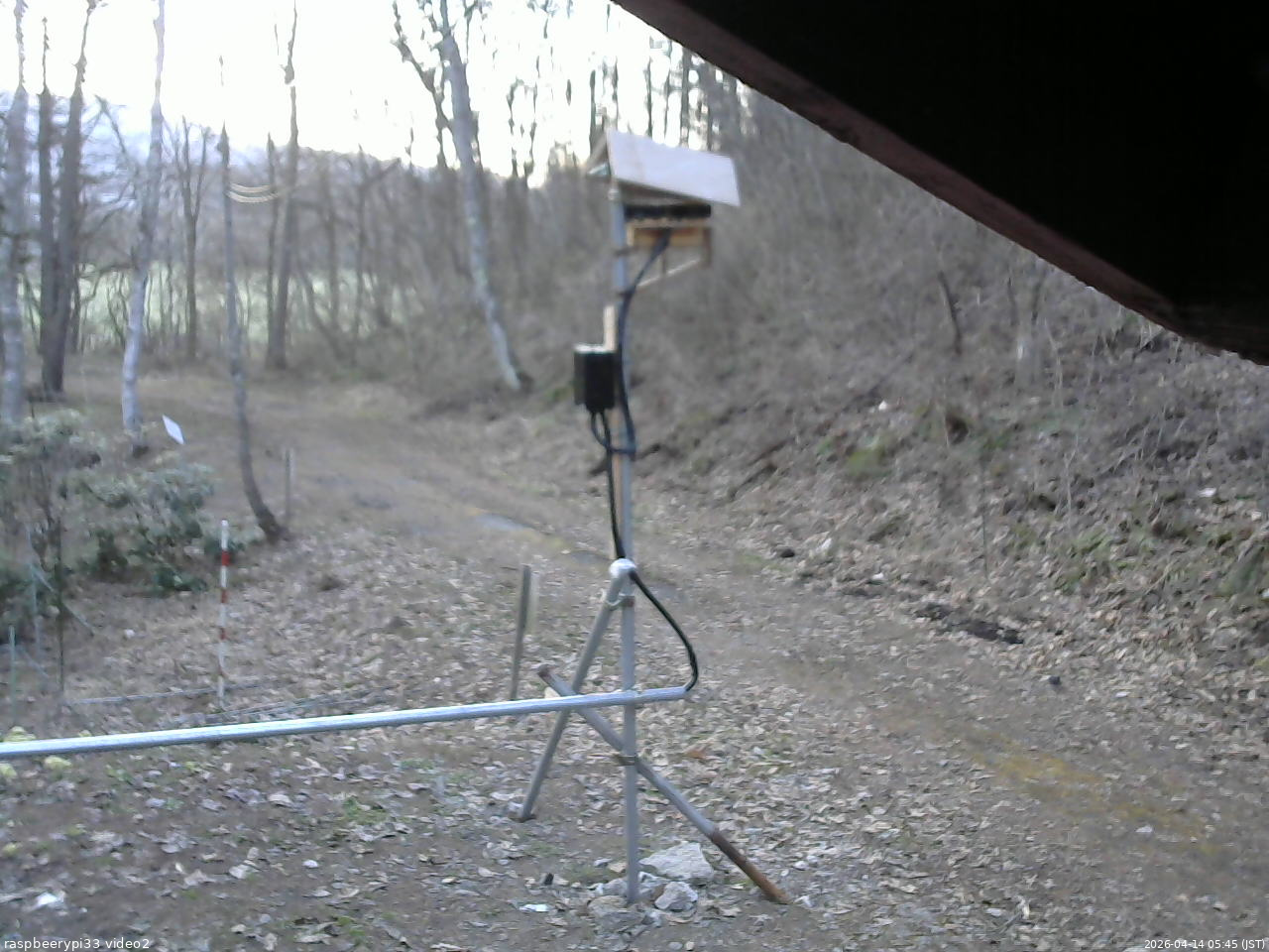 長野県菅平高原 ゆたか山荘 南側 2026/04/14 05:45