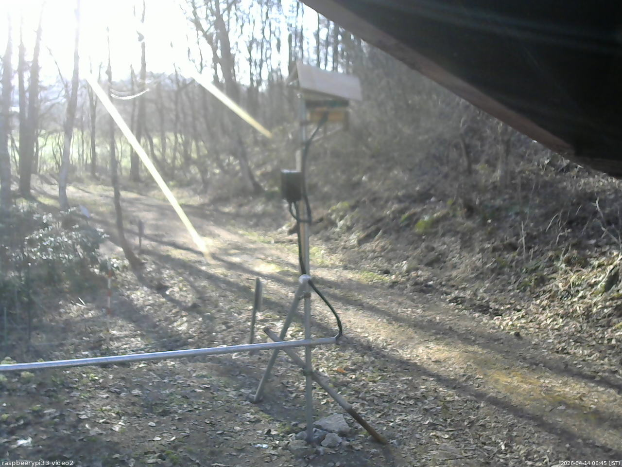 長野県菅平高原 ゆたか山荘 南側 2026/04/14 06:45