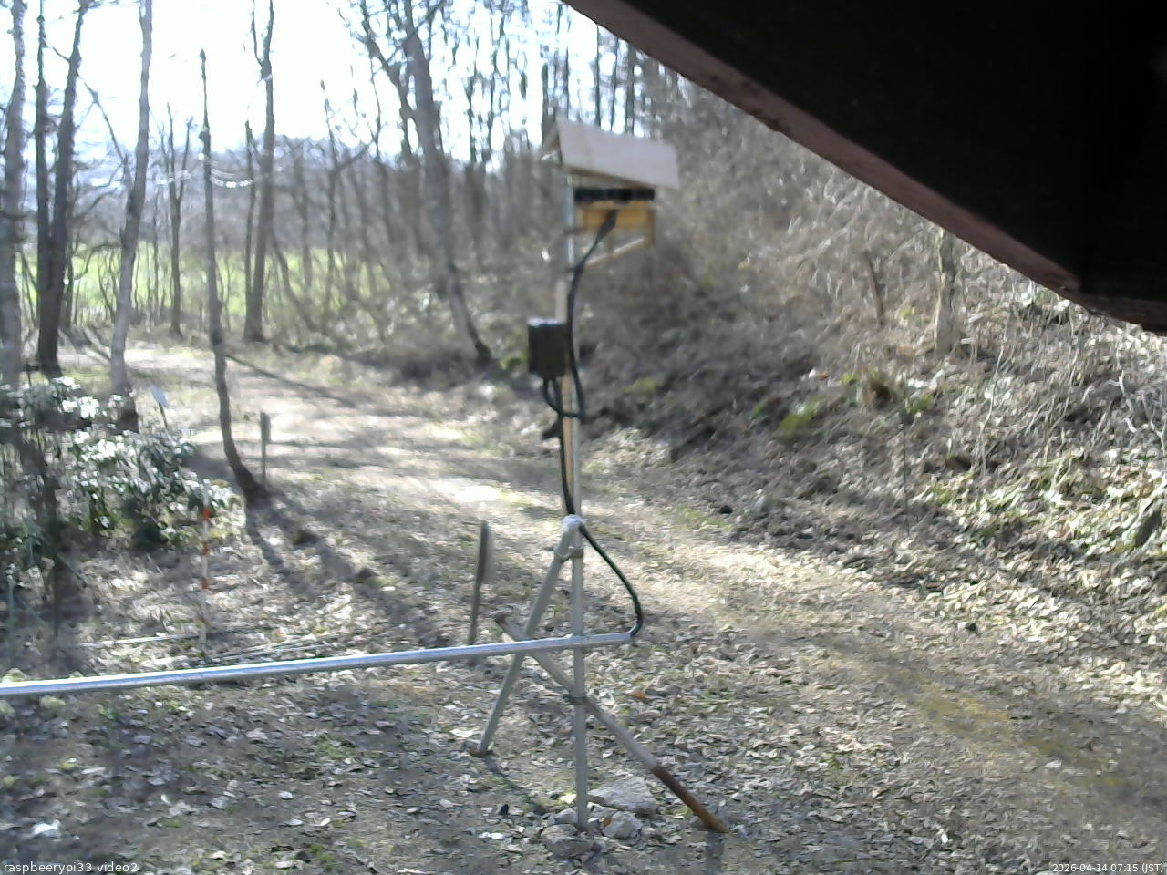 長野県菅平高原 ゆたか山荘 南側 2026/04/14 07:15