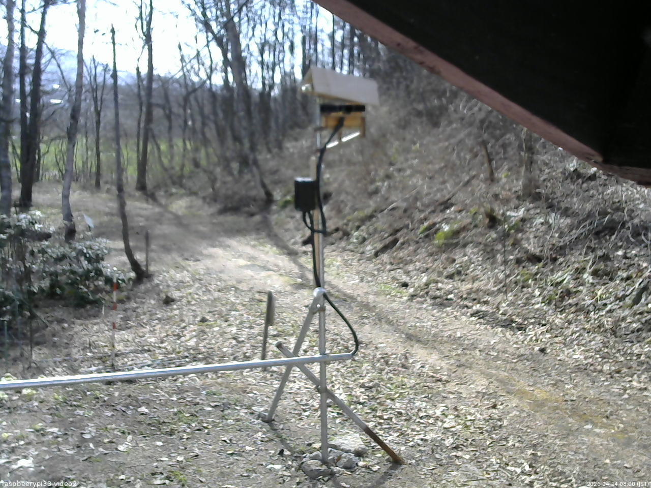 長野県菅平高原 ゆたか山荘 南側 2026/04/14 08:00