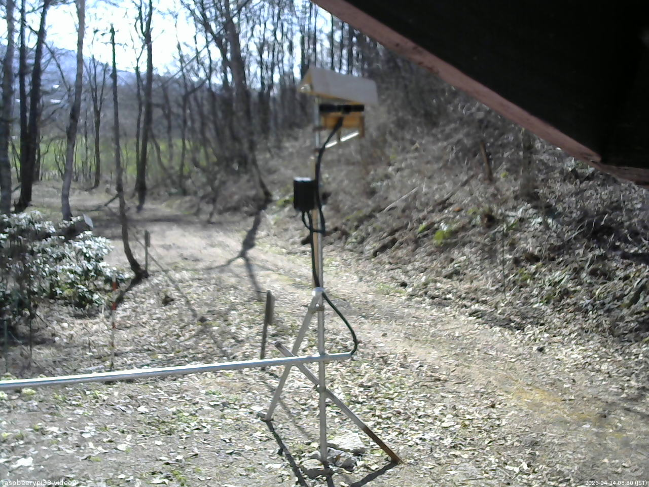 長野県菅平高原 ゆたか山荘 南側 2026/04/14 08:30