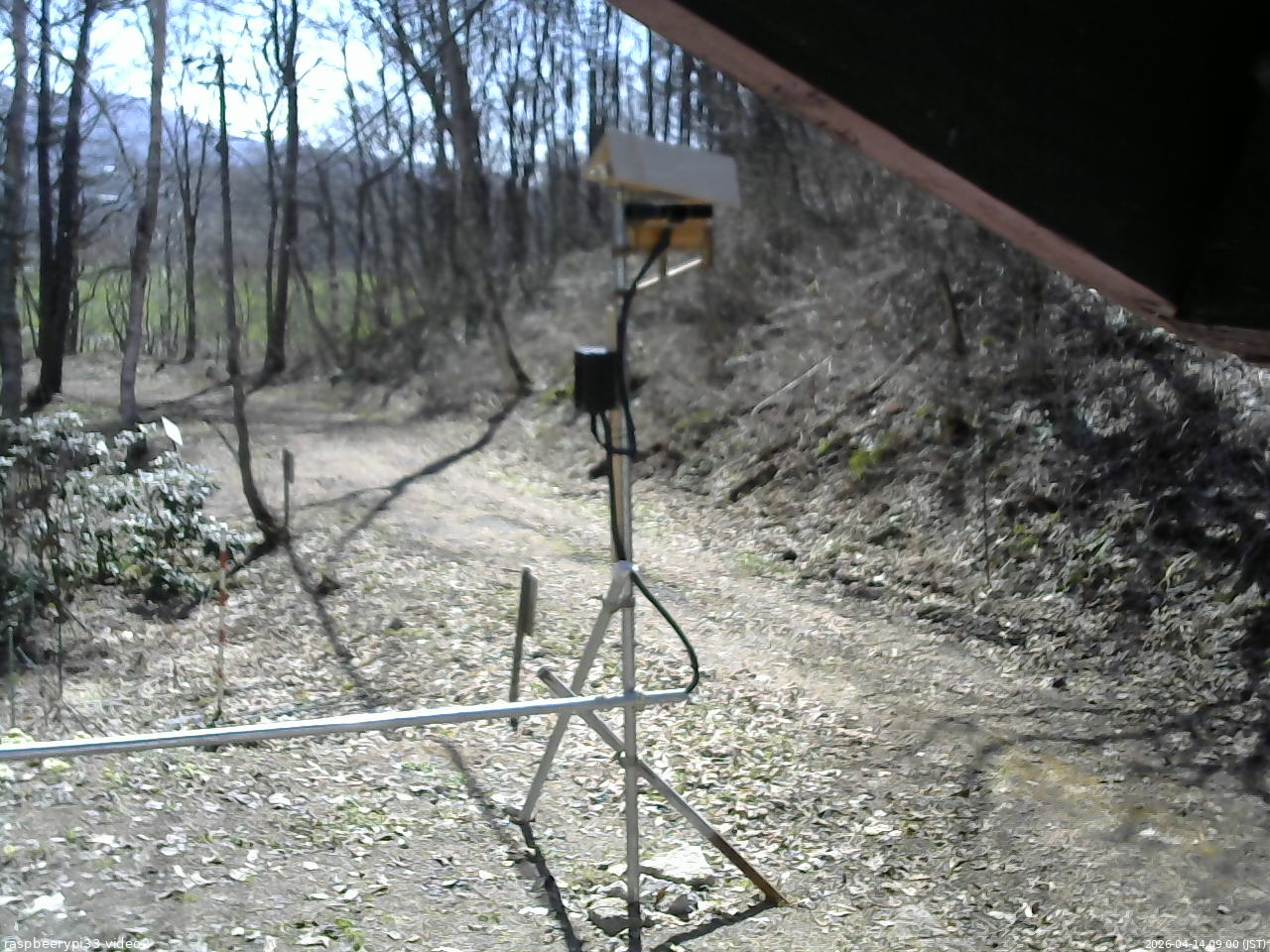 長野県菅平高原 ゆたか山荘 南側 2026/04/14 09:00
