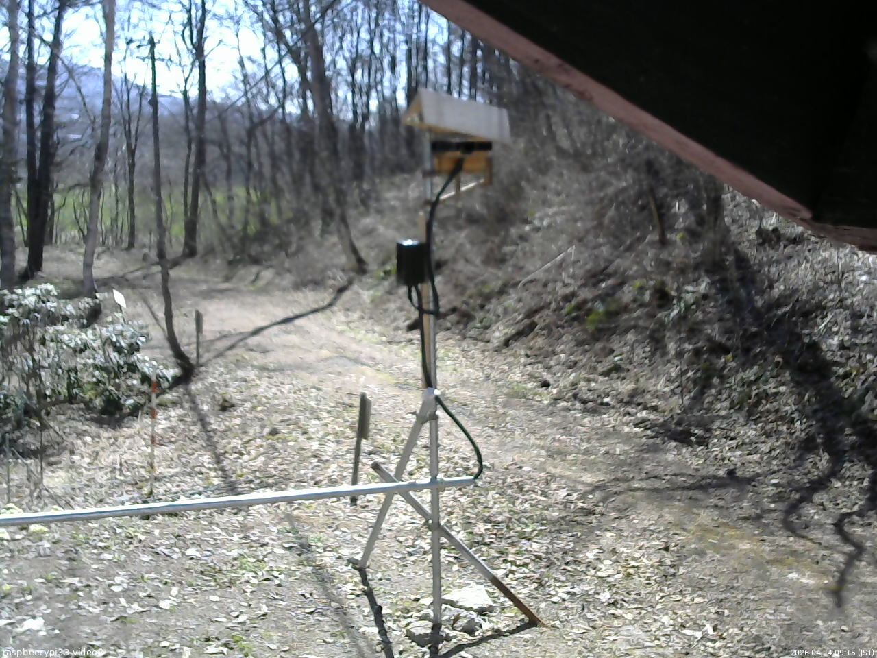 長野県菅平高原 ゆたか山荘 南側 2026/04/14 09:15