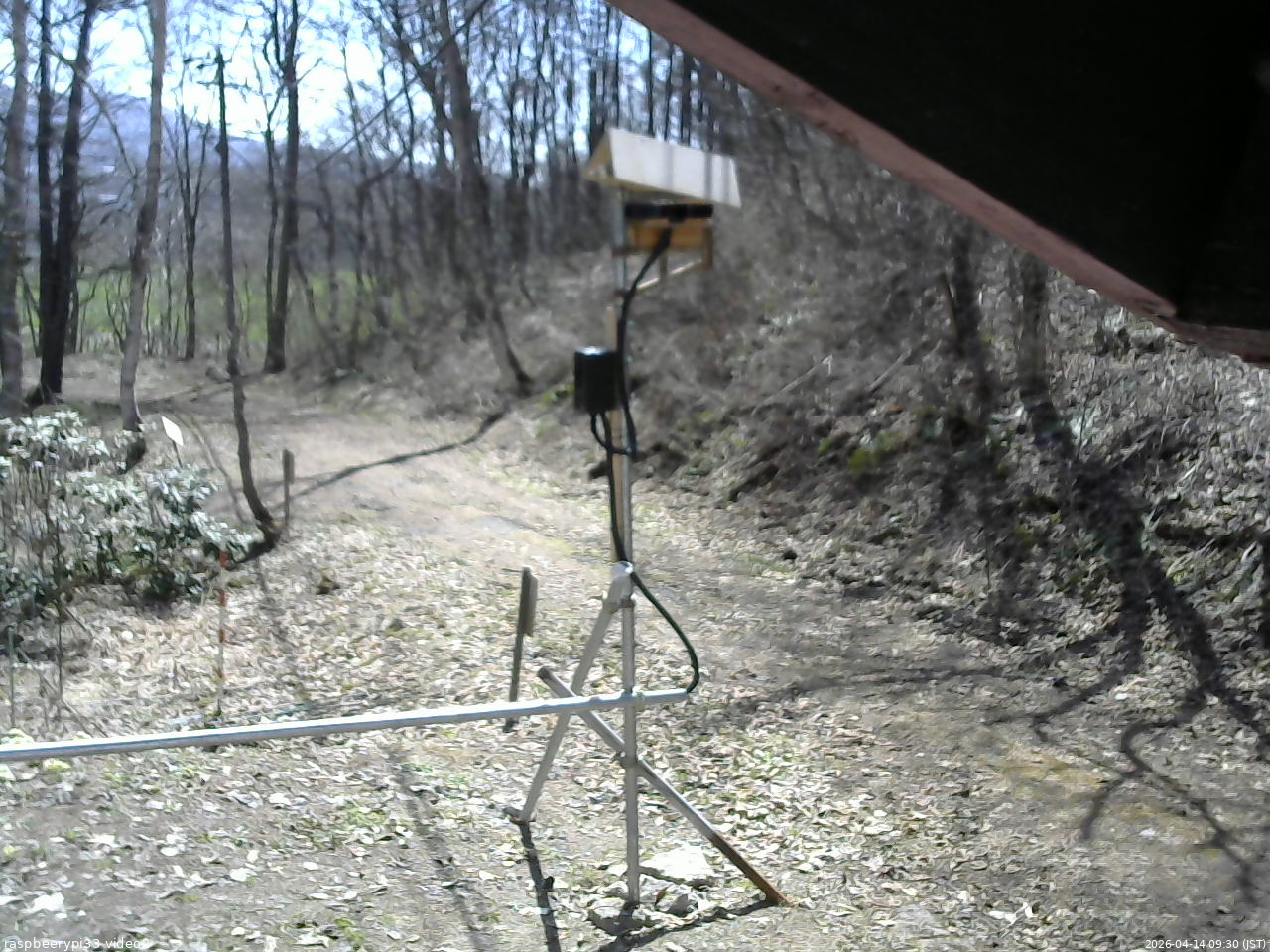 長野県菅平高原 ゆたか山荘 南側 2026/04/14 09:30
