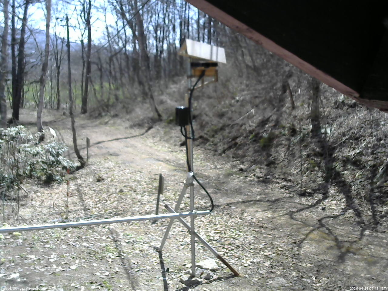 長野県菅平高原 ゆたか山荘 南側 2026/04/14 09:45
