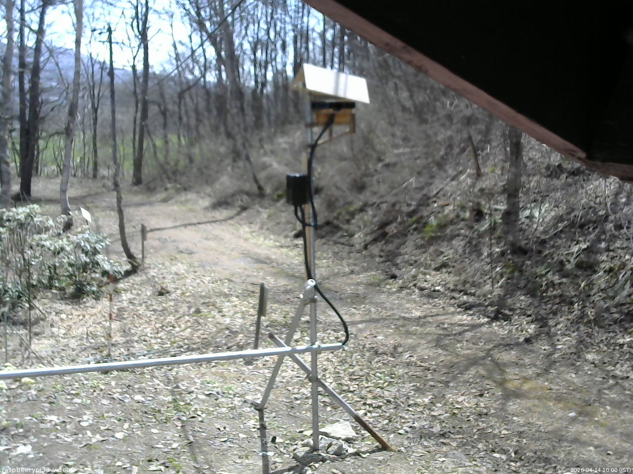 長野県菅平高原 ゆたか山荘 南側 2026/04/14 10:00