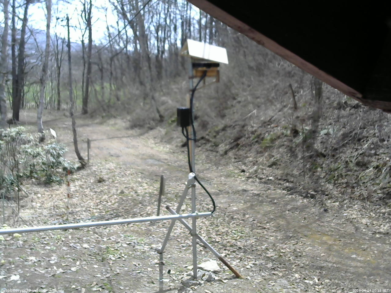 長野県菅平高原 ゆたか山荘 南側 2026/04/14 10:15