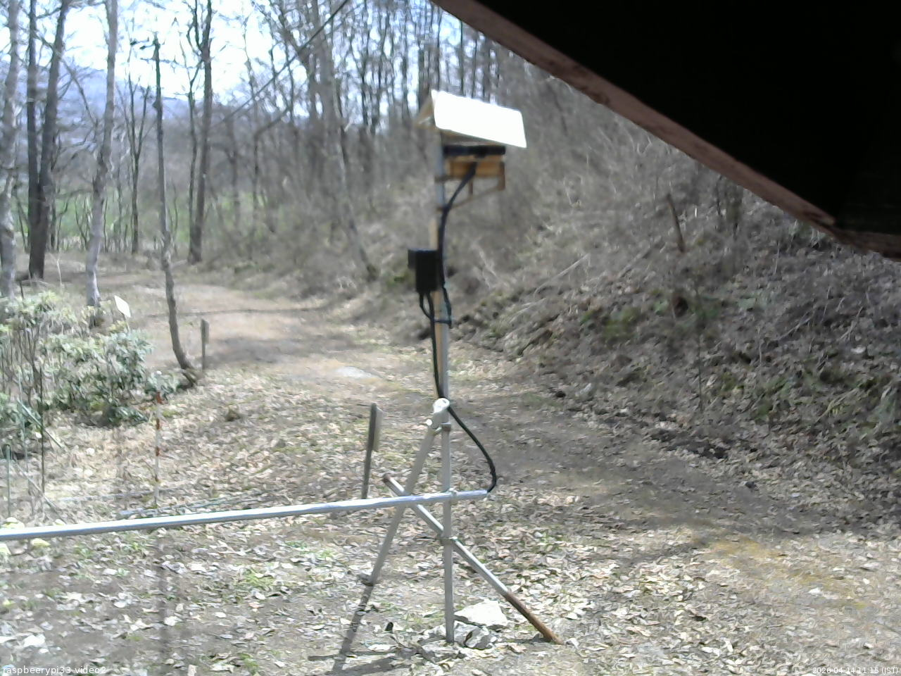 長野県菅平高原 ゆたか山荘 南側 2026/04/14 11:15