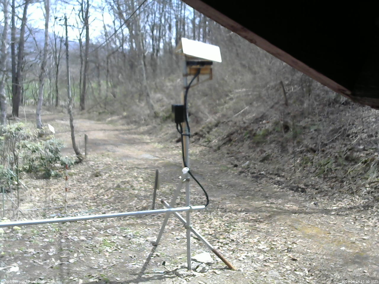 長野県菅平高原 ゆたか山荘 南側 2026/04/14 11:30