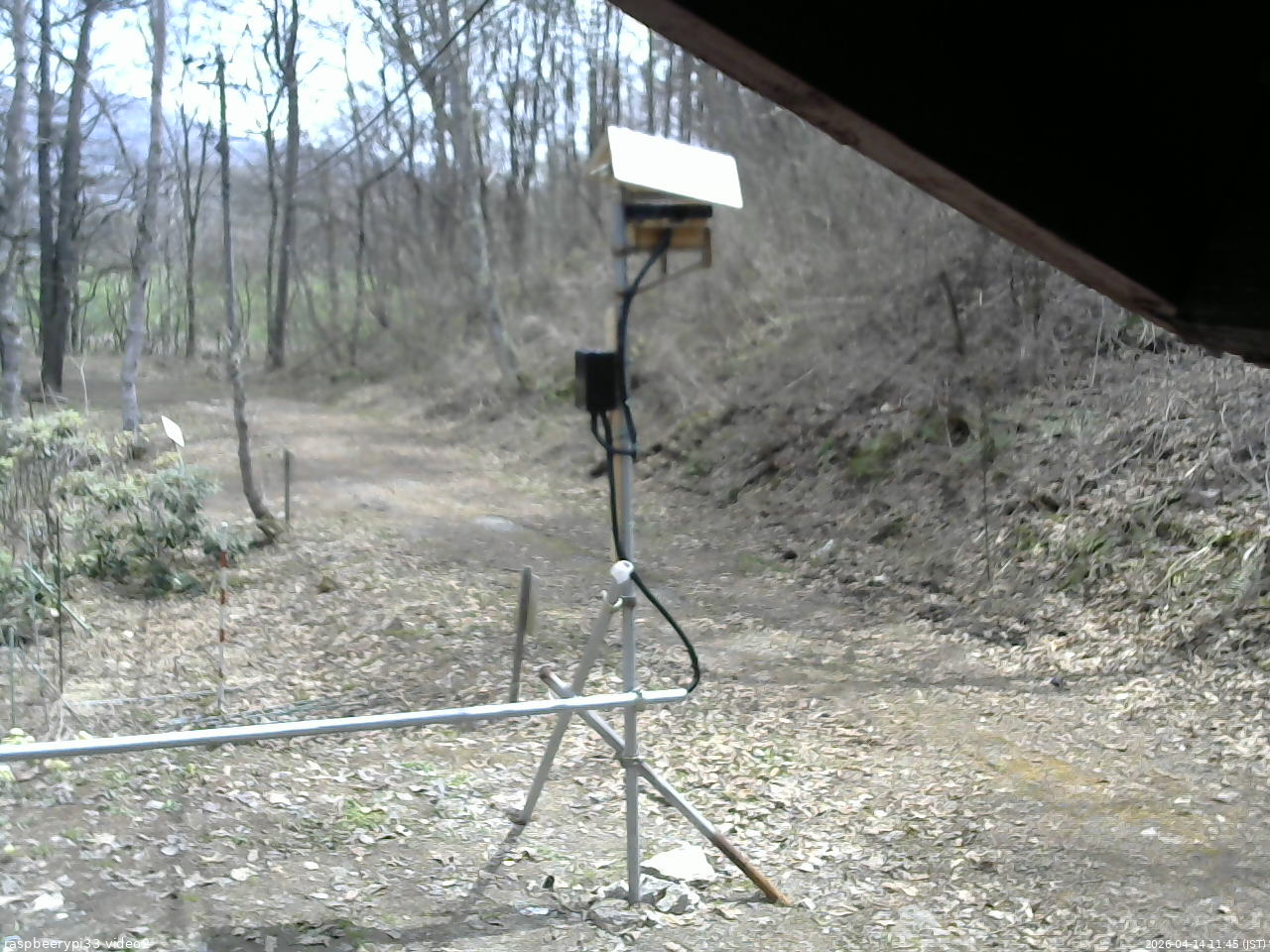 長野県菅平高原 ゆたか山荘 南側 2026/04/14 11:45