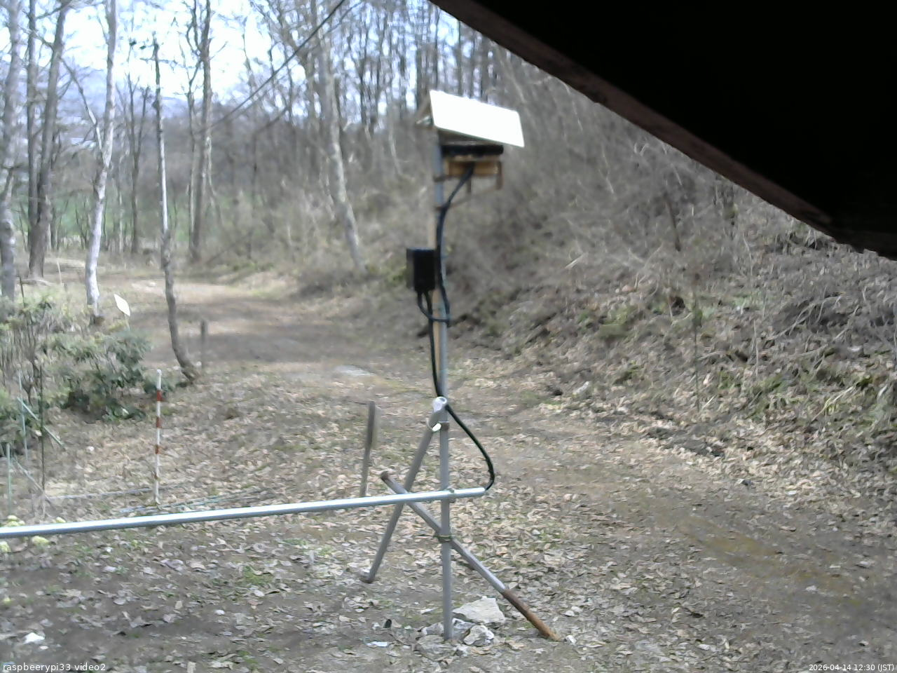 長野県菅平高原 ゆたか山荘 南側 2026/04/14 12:30