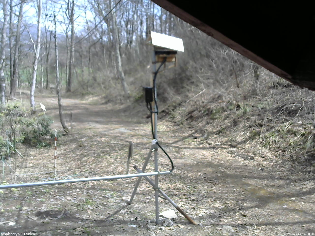長野県菅平高原 ゆたか山荘 南側 2026/04/14 12:45