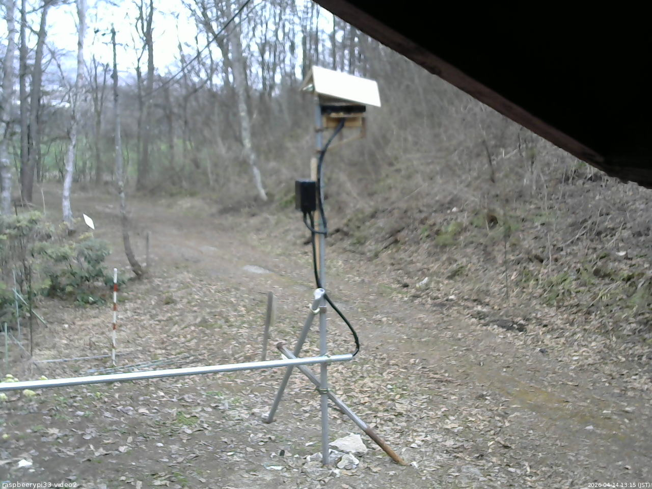 長野県菅平高原 ゆたか山荘 南側 2026/04/14 13:15