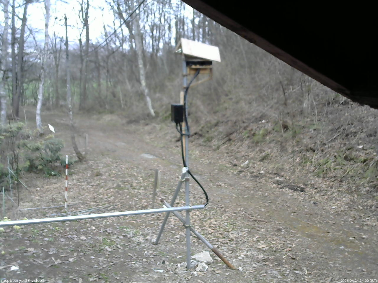 長野県菅平高原 ゆたか山荘 南側 2026/04/14 14:00